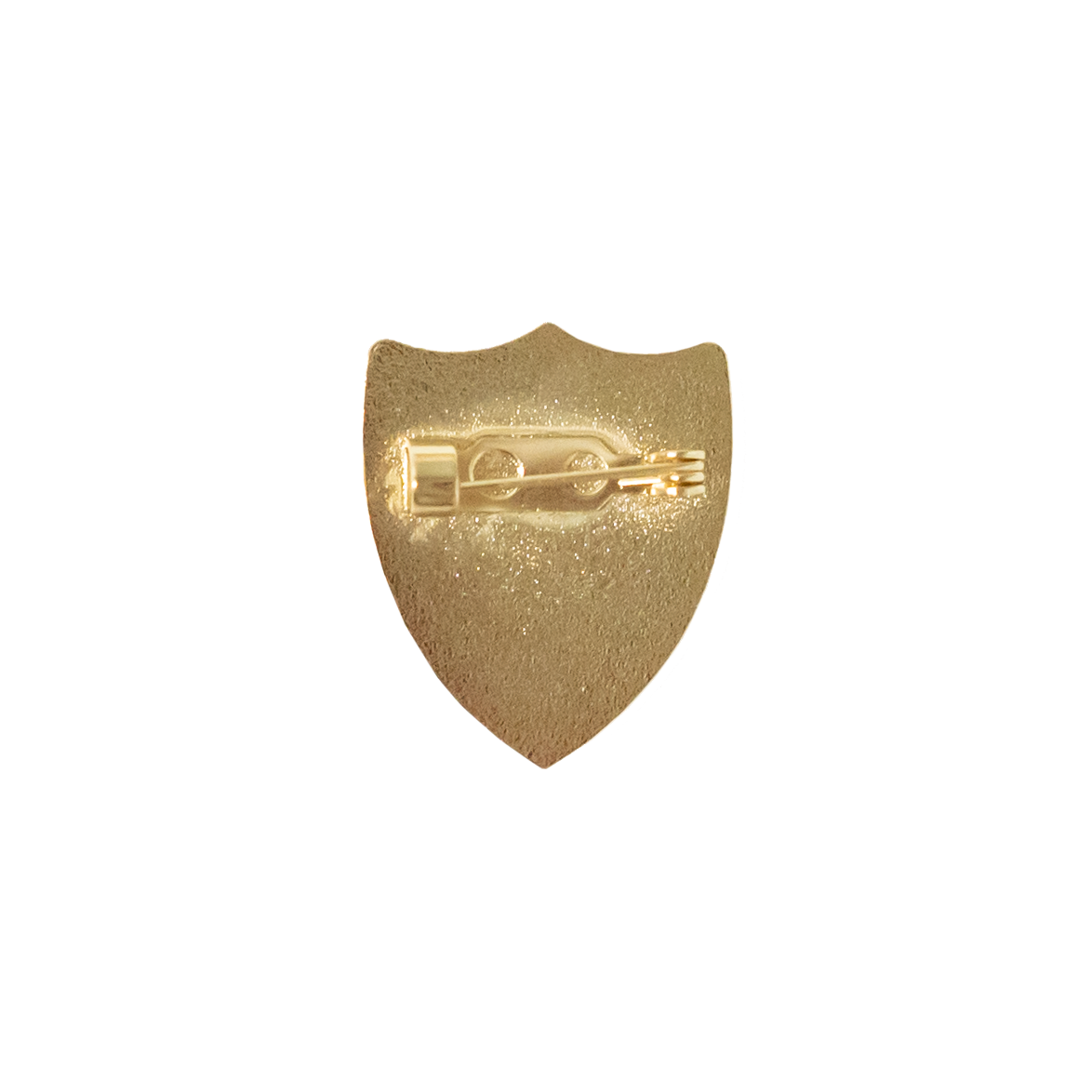 Expert in a Dying Field Enamel Pin