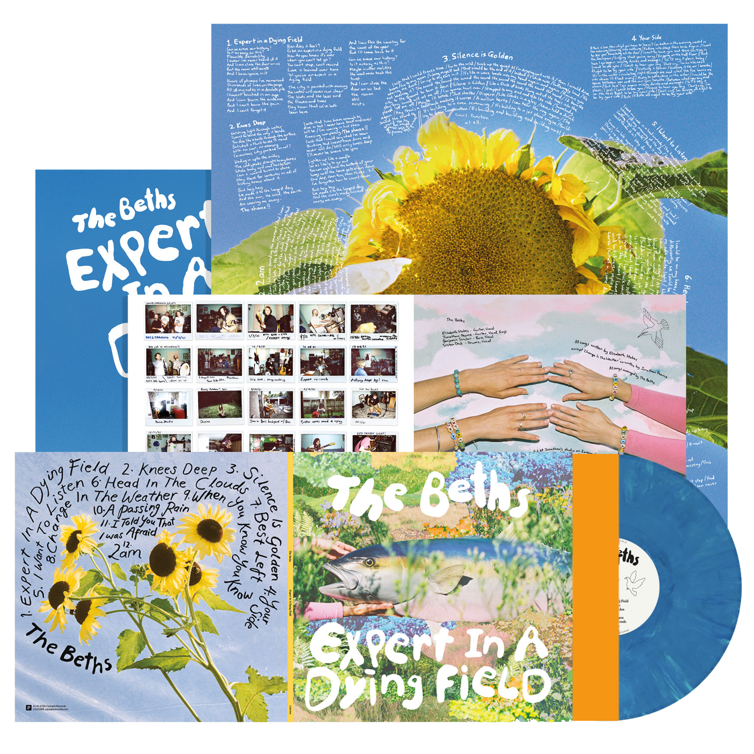Expert In A Dying Field Vinyl LP